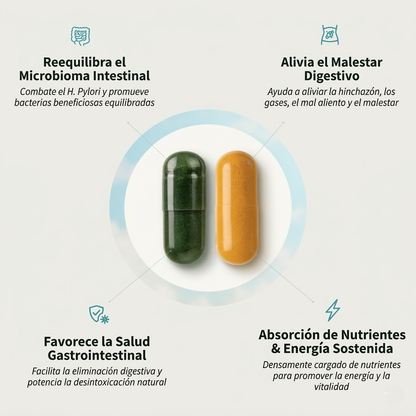 Livelait – Elimina la hinchazón y el SIBO desde la raíz | Protocolo natural 30 días