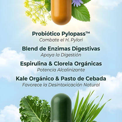 Livelait – Elimina la hinchazón y el SIBO desde la raíz | Protocolo natural 30 días